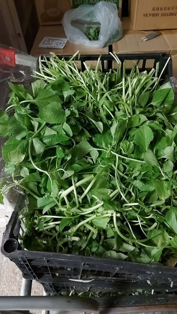 Thai Market · Photos 7